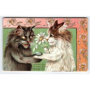 Humorous Fluffy Cats Tuck Series 122 M. Boulanger Romantic Lovers Kittens 1908